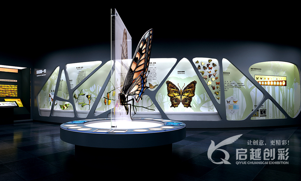 蝶舞彩云南川，啟越創彩繪展館——記云南四川啟越創彩展覽展示服務的圖文設計之旅